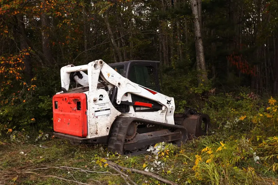 Site Clearing & Land Preparation site assessed before work begins