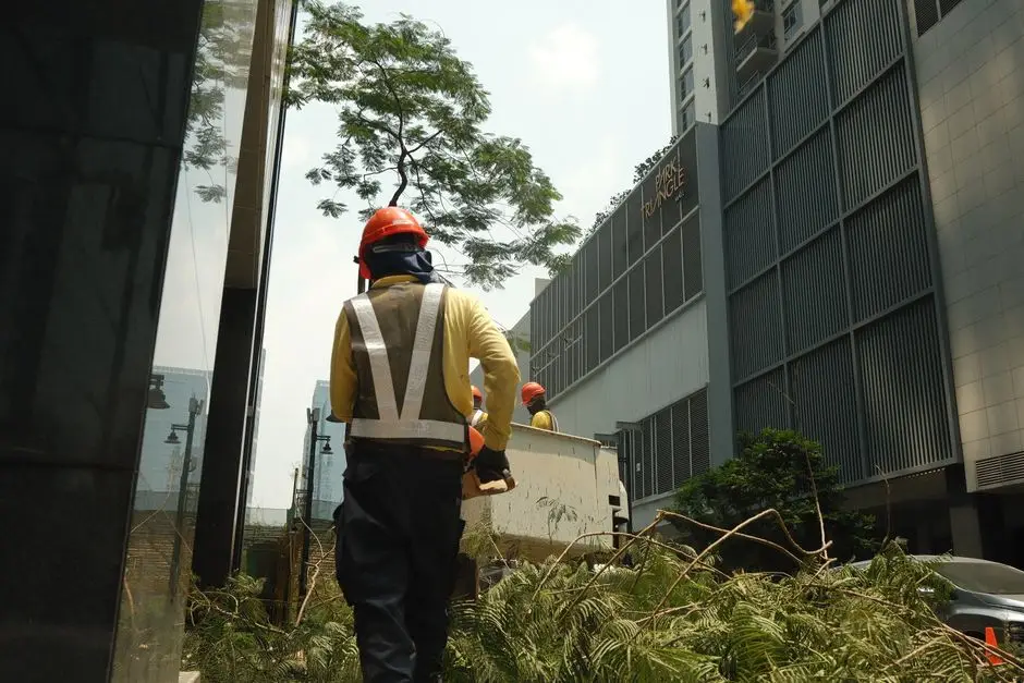 Debris Clean Up site assessed before work begins