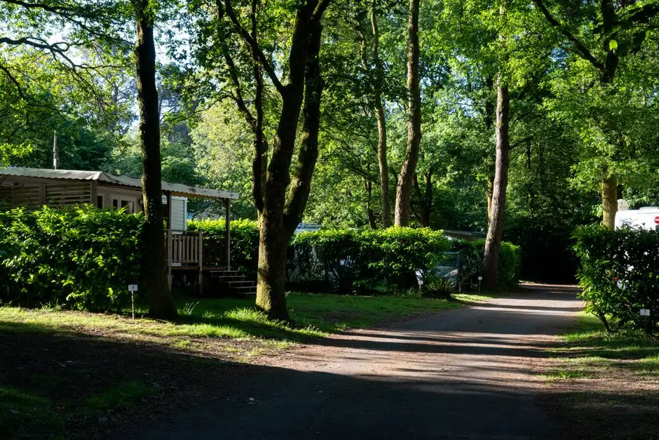 Machinery positioned for mobile home removal