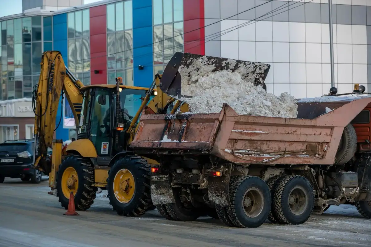 Junk Removal